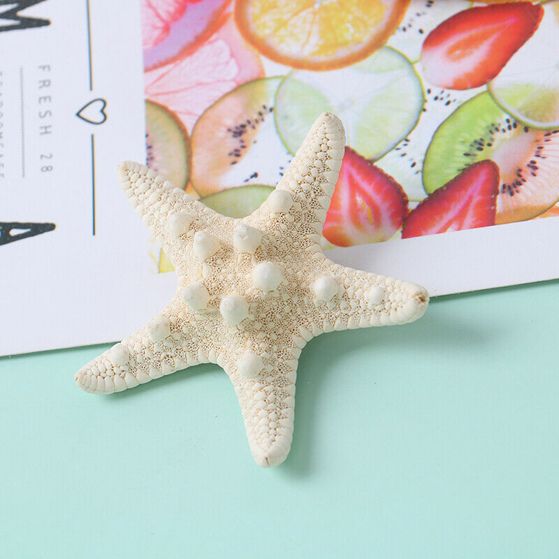 Fashion Lady Hair Clips Women Girls Starfish Sea Star Hairpins Beach Barr.l8