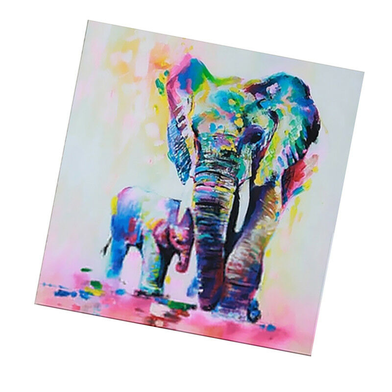 50x50cm Canvas Decorative Wall Art Painting Picture Elephant Print No Framed