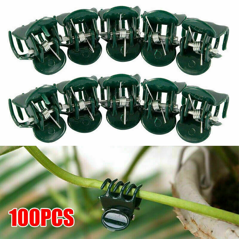 100x Small Orchid Plant Clips Set in Dark Green Plastic Flowers Plant Stake