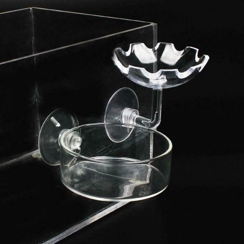 Shrimp Feeder Bowl Easy Fixed Clear Color Fish Feeding Dish with Durable Glass