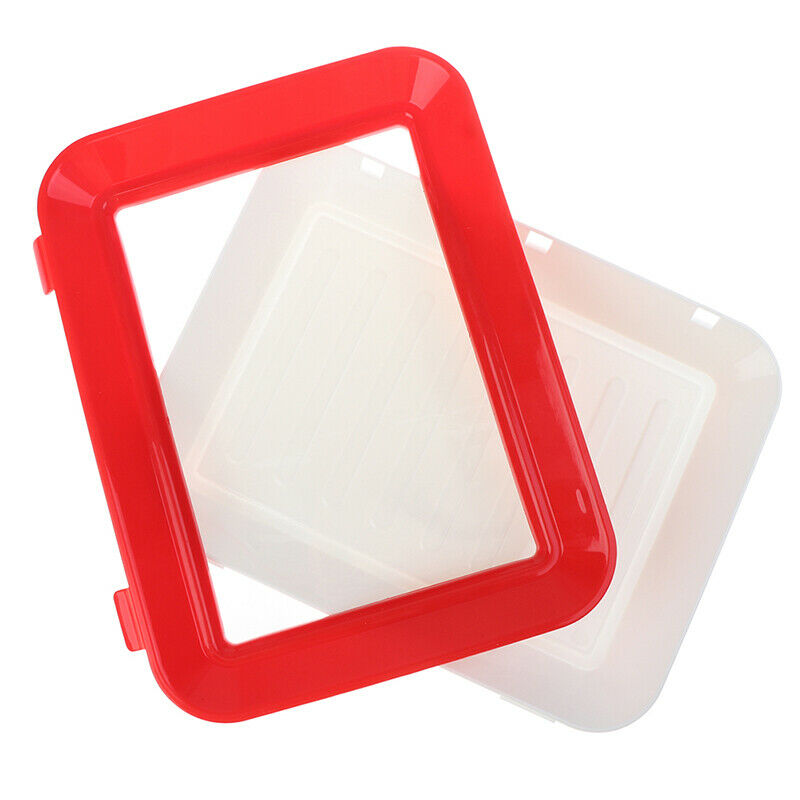 Fresh Food Preservation tray Organizer Pallet Refrigerator Food Kitchen GadgBDA