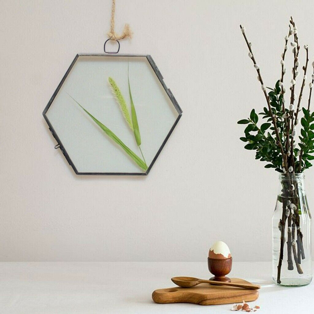 Glass Geometric Photo Picture Frame Hanging Flower Plant Specimen Display Holder