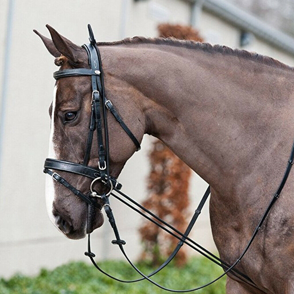 Neck Stretcher - Horse Reins -  Equestrian Equipment Supplies, Black Color