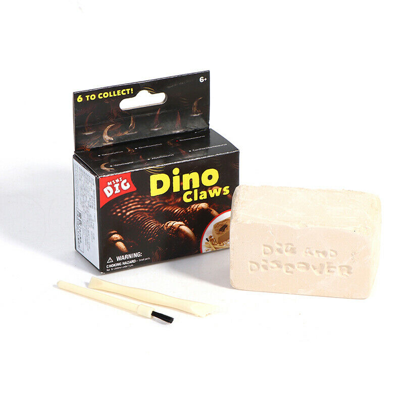 Random 1Pcs Dinosaur Paw Fossil Dig Kit Crafts Toys DIY Assembly Mo Fx