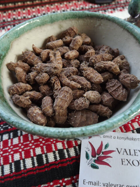Tigernuts - Earth almond - Chufa 25+  tubers - tubercules - Erdmandel - YIELDING