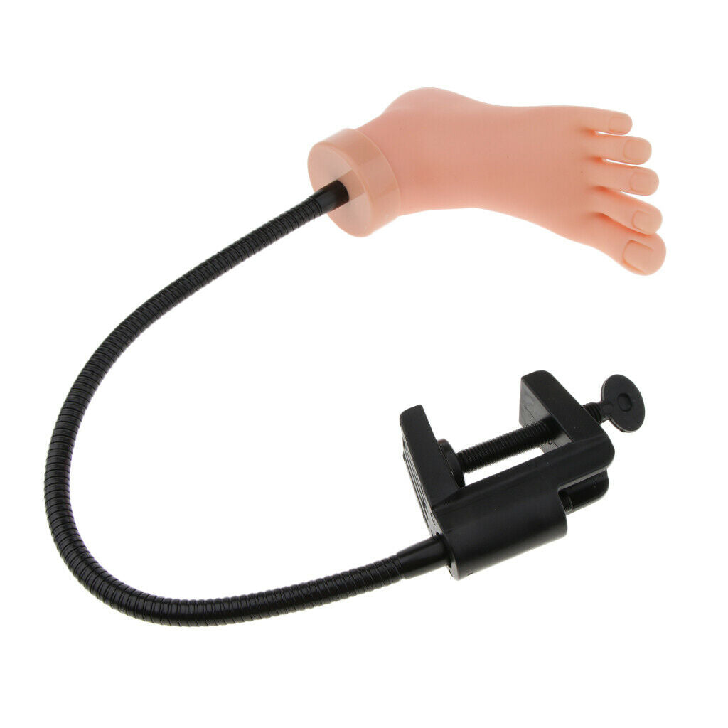 Silicon Practice Pedicure Trainer Training Durable Foot Tool w/ Stand Holder