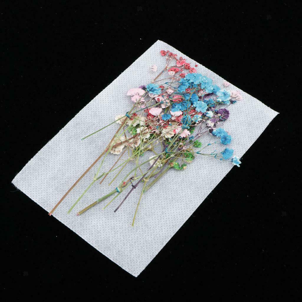 12Pcs Natural Dried Flowers Babysbreath DIY Pressed Herbarium Flower Decorative