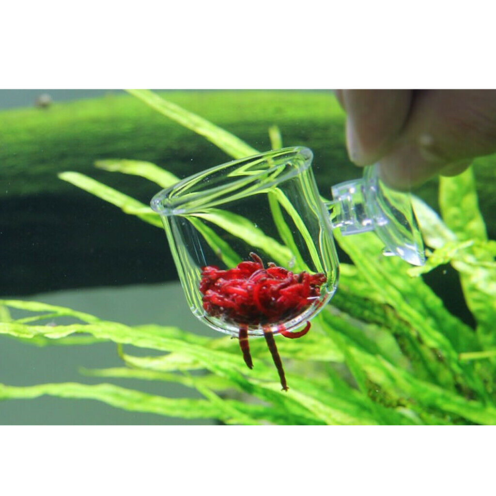 5x Aquarium Tank Glass Fish Feeder Snail Trap Planarian Leech Catch Pinhole