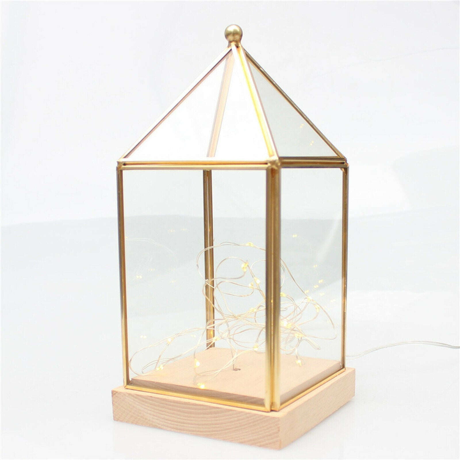 Modern Glass Wood Firefly Lights Shade Vase for Greenhouse Bar Club Decor