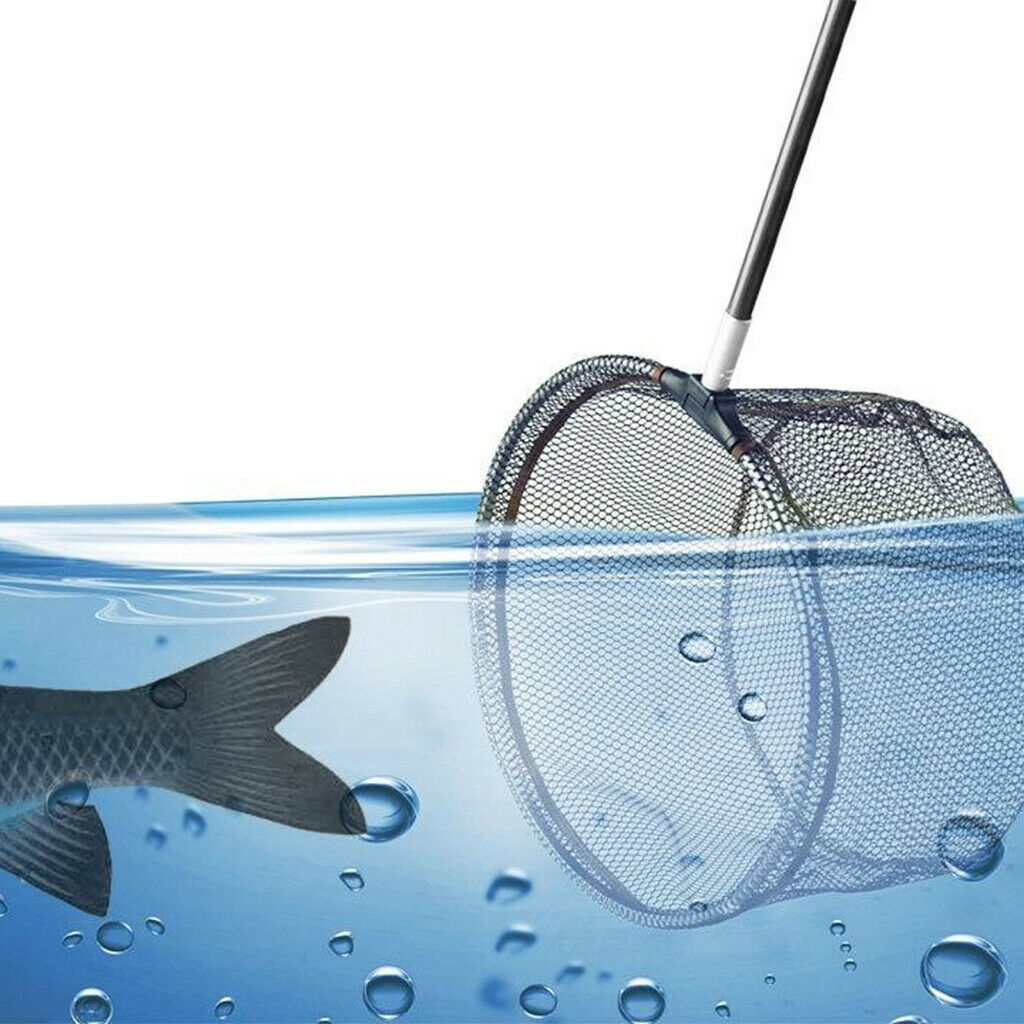Trout Carp Coarse Fishing Landing Net Head Replacement Net Tackle 45cm