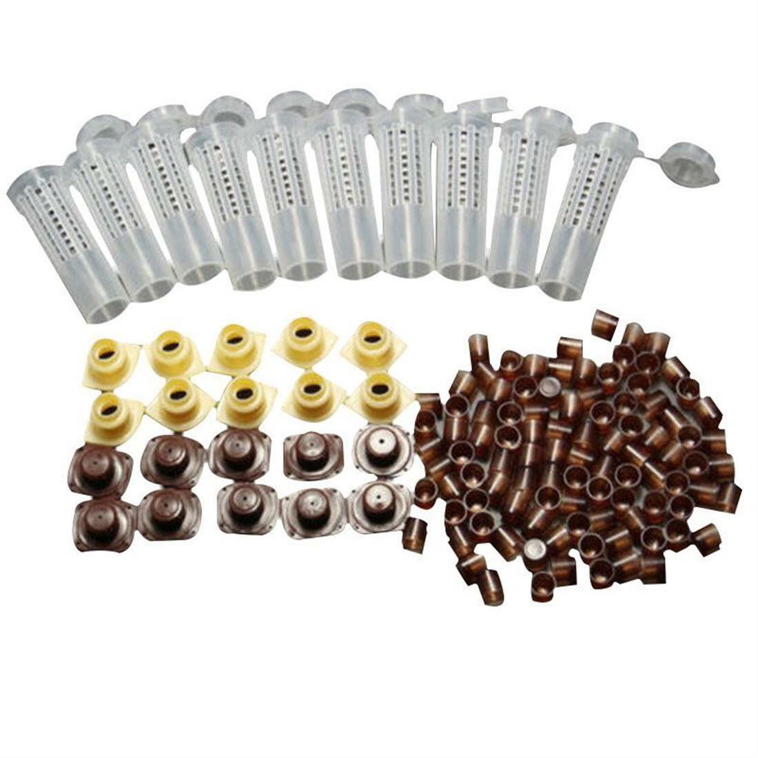 Complete Queen Rearing Cupkit System Bee Beekeeping Catcher Box & 100 Cups Cell
