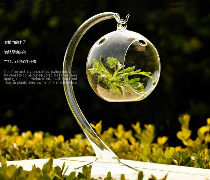 5x 1Pc Clear Glass Hydroponic Flower Vase Fairy Terrarium Bottle Candlestick