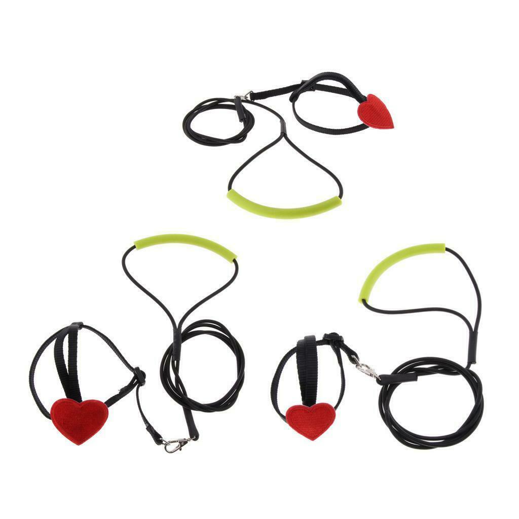 Soft Elastic Parrot Bird Leash Bird Harness Leash for Budgerigar Lovebird