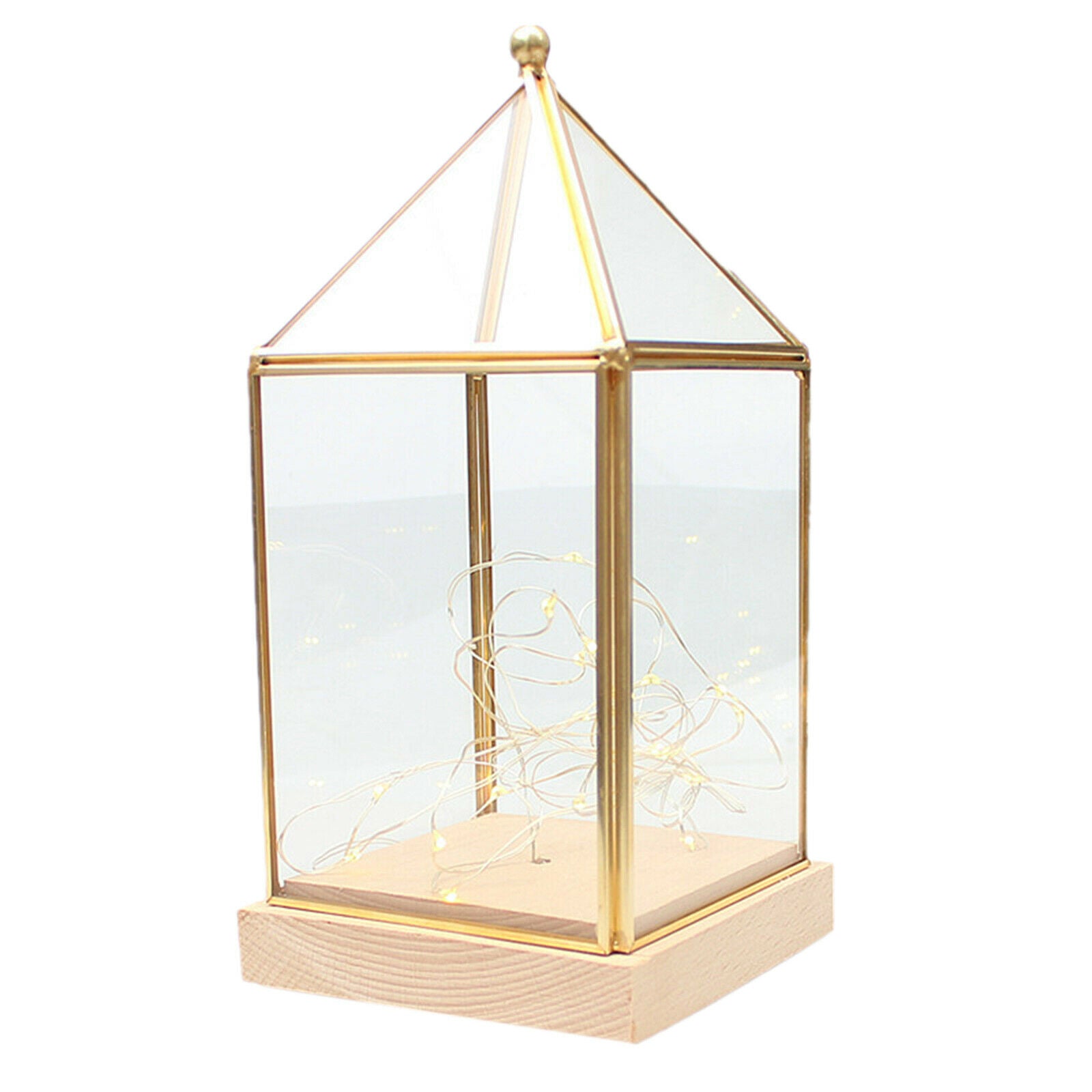 Modern Glass Wood Firefly Lights Shade Vase for Greenhouse Bar Club Decor