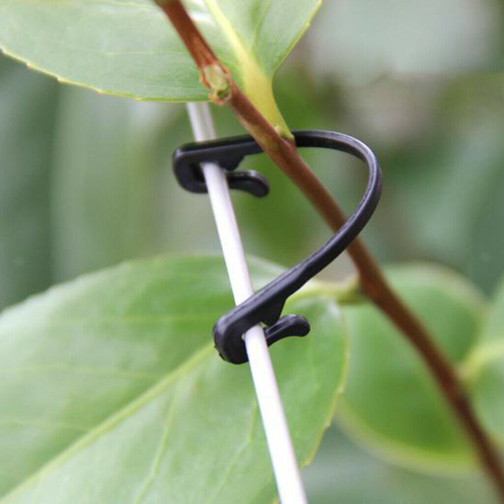 200pcs Vines Fastener Clips Grape Tomato Support Clips for Planting Plants