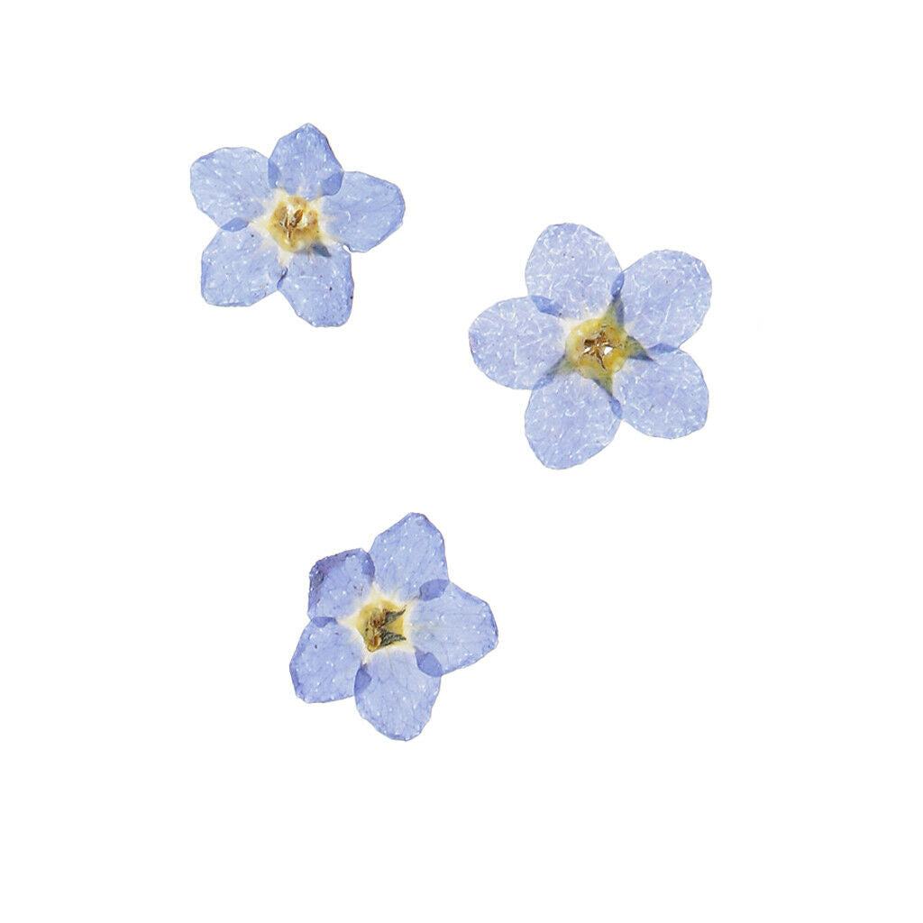 30 Bag Handmade Pressed Real Dried Flowers DIY Craft Floral Cards Multicolor