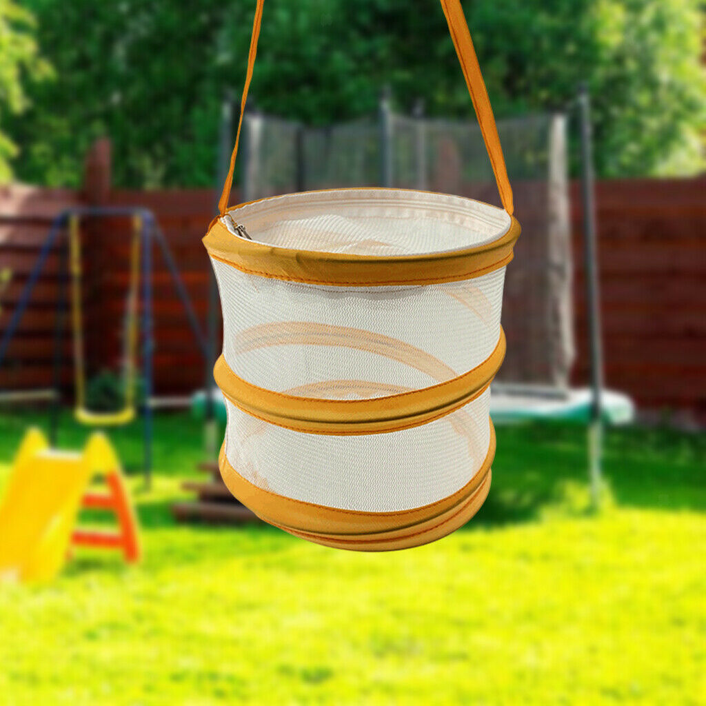 Insect and Butterfly Habitat Cage -up Educational for Outdoor Girls