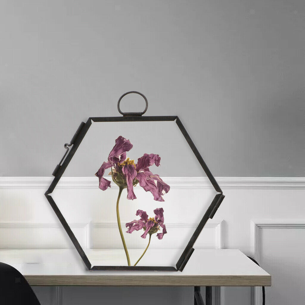 2 Pieces Modern Wall Hanging Hexagon Glass Displaying Photo Frame Black