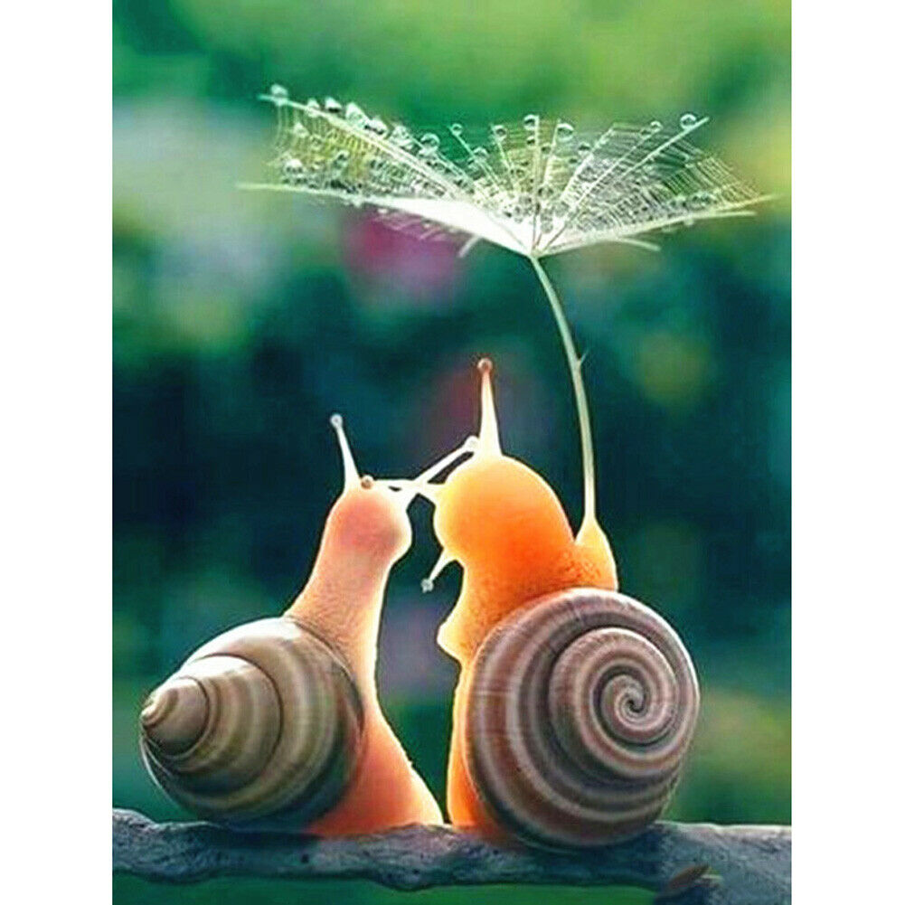 5D Diamond Painting Kits Full Square Snail DIY Living Room Art Home Decor @