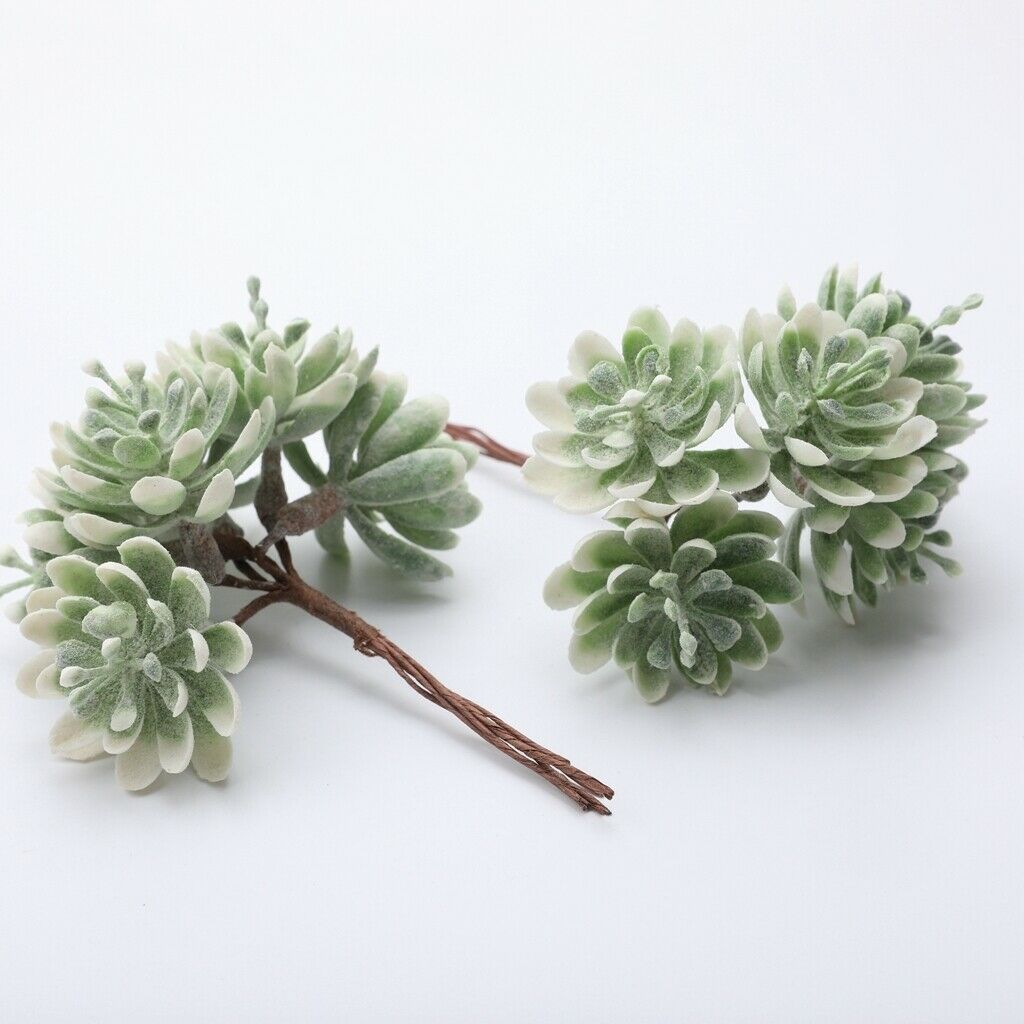 10pcs Pressed Dried Flowers Artificial Succulent Plants Wedding Party Decor