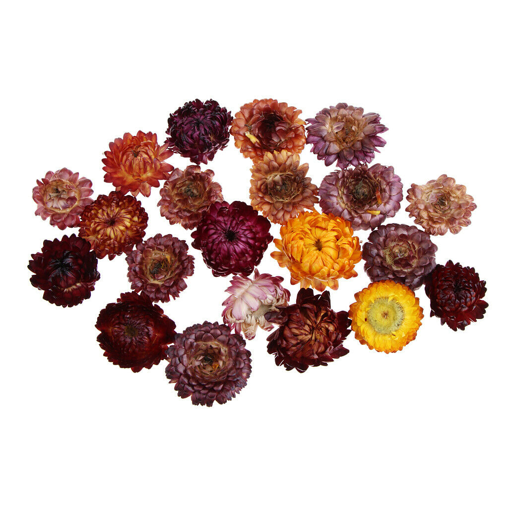 20g Pressed Flowers Real Natural Dried Flower Petals for DIY Crafts