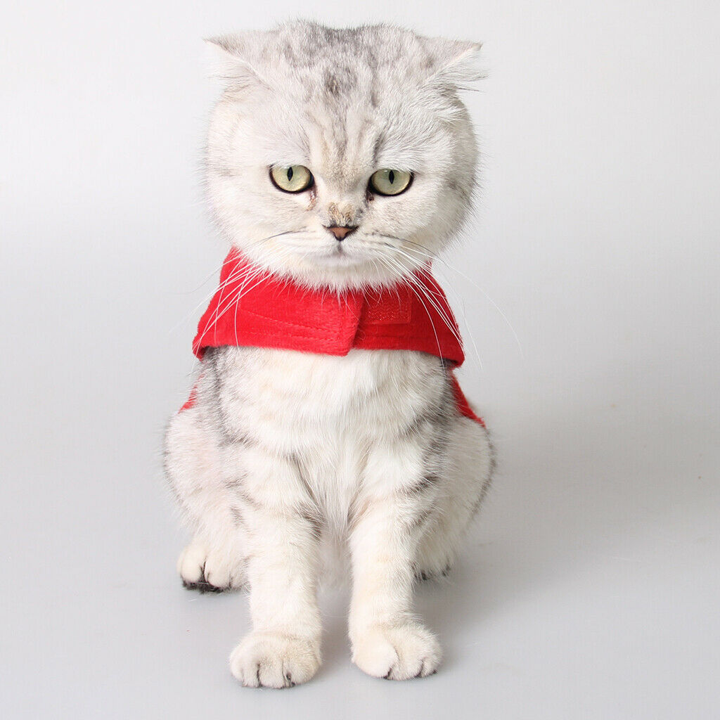 Pet Christmas Hoodie Costume Free Size Pet Christmas Warm Outfit Apparel