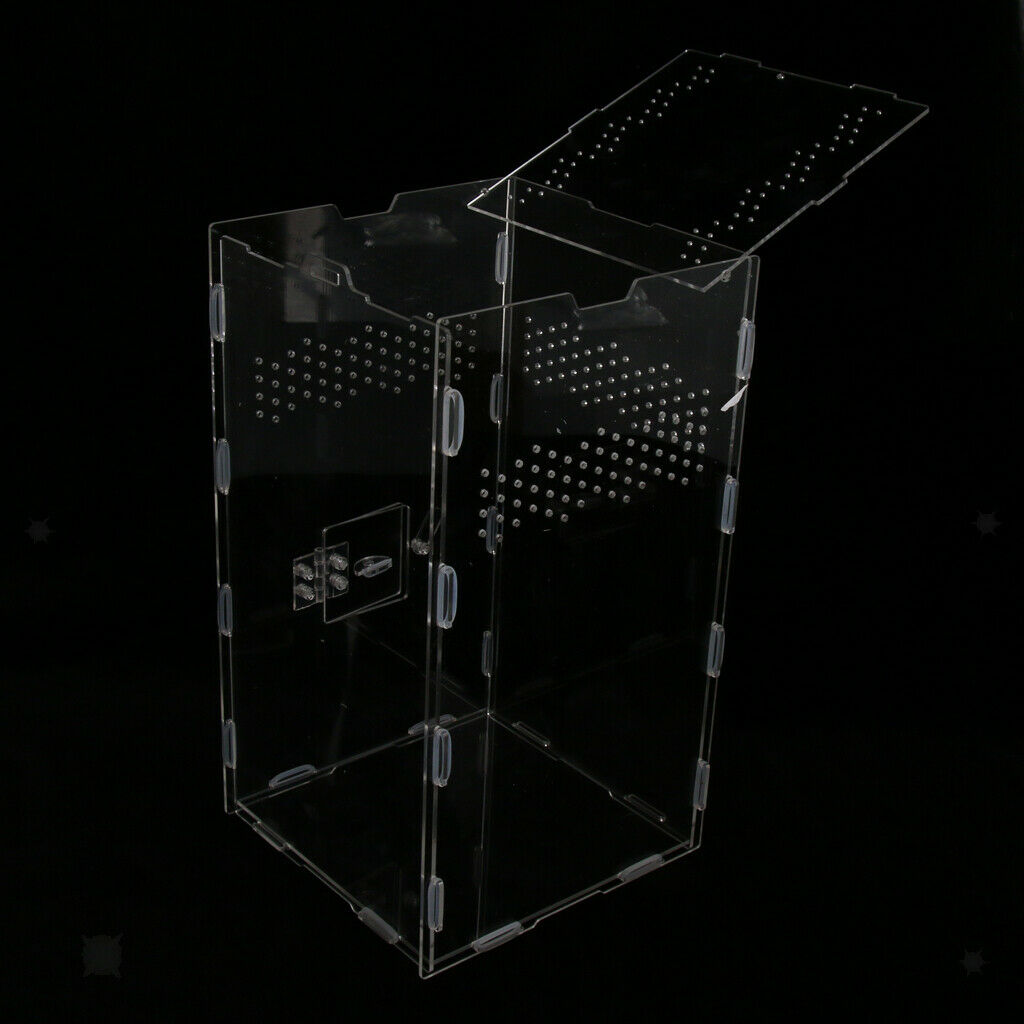 Acrylic Reptile & Amphibian Terrarium Tank For Lizard Turtle Spider