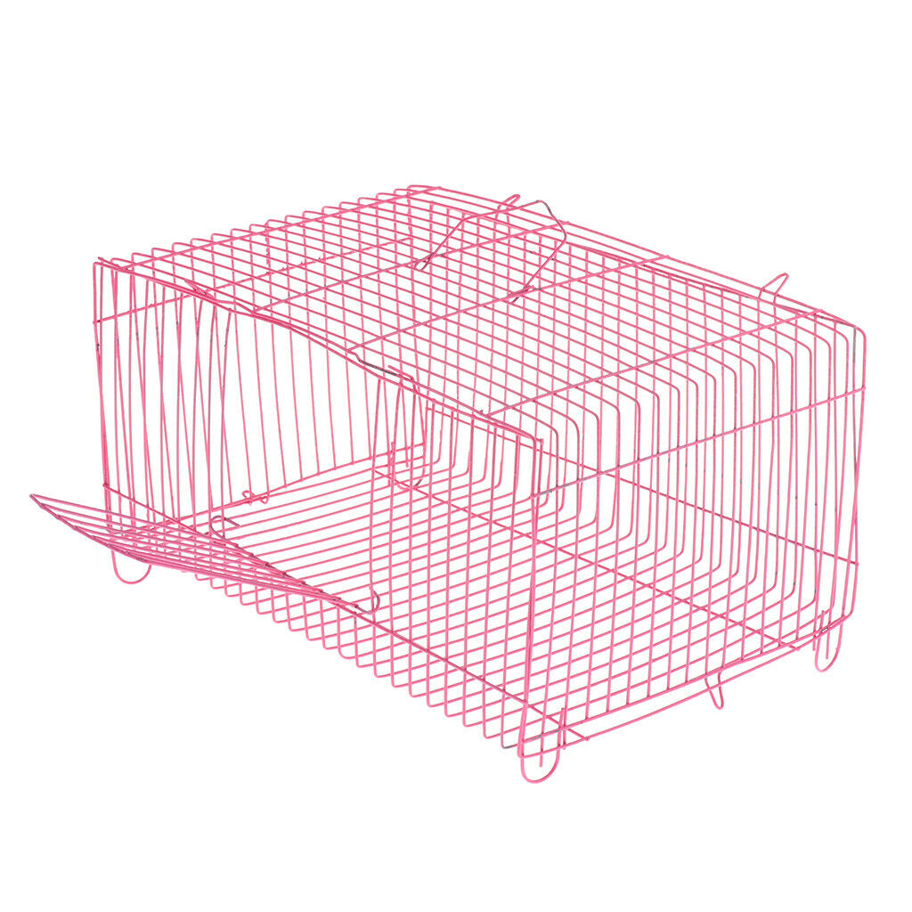 New House Small Pet Hamster Exercise
