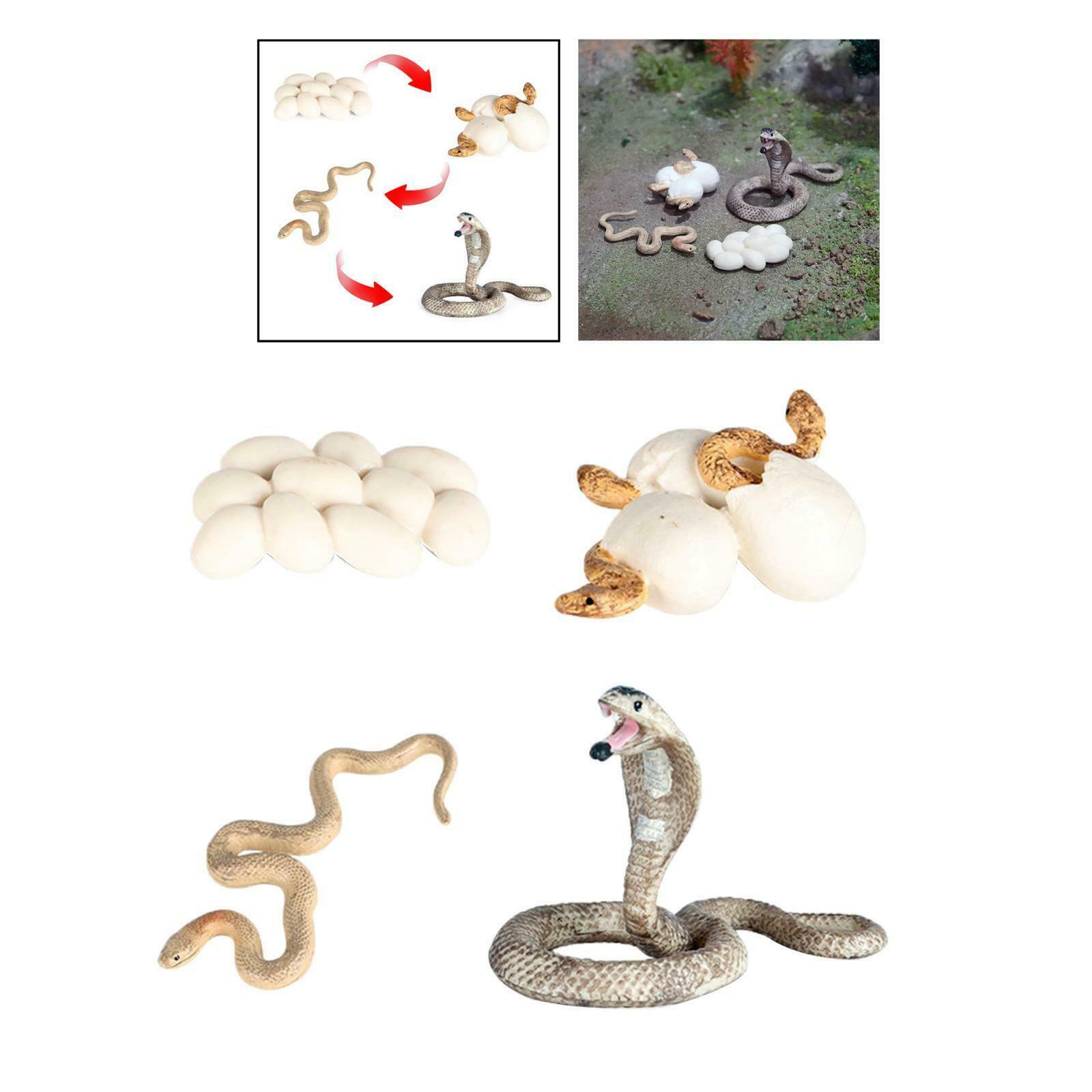 Realistic Cobra Growth Figures Kids Cognitive Toys Role Play Themed Party