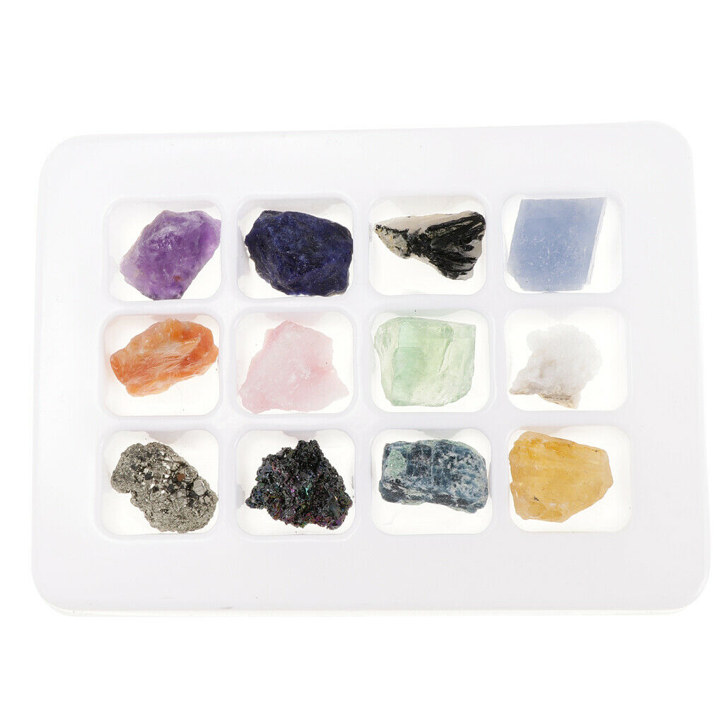 Rock and Mineral Earth Science School Teaching Display Collection Gift