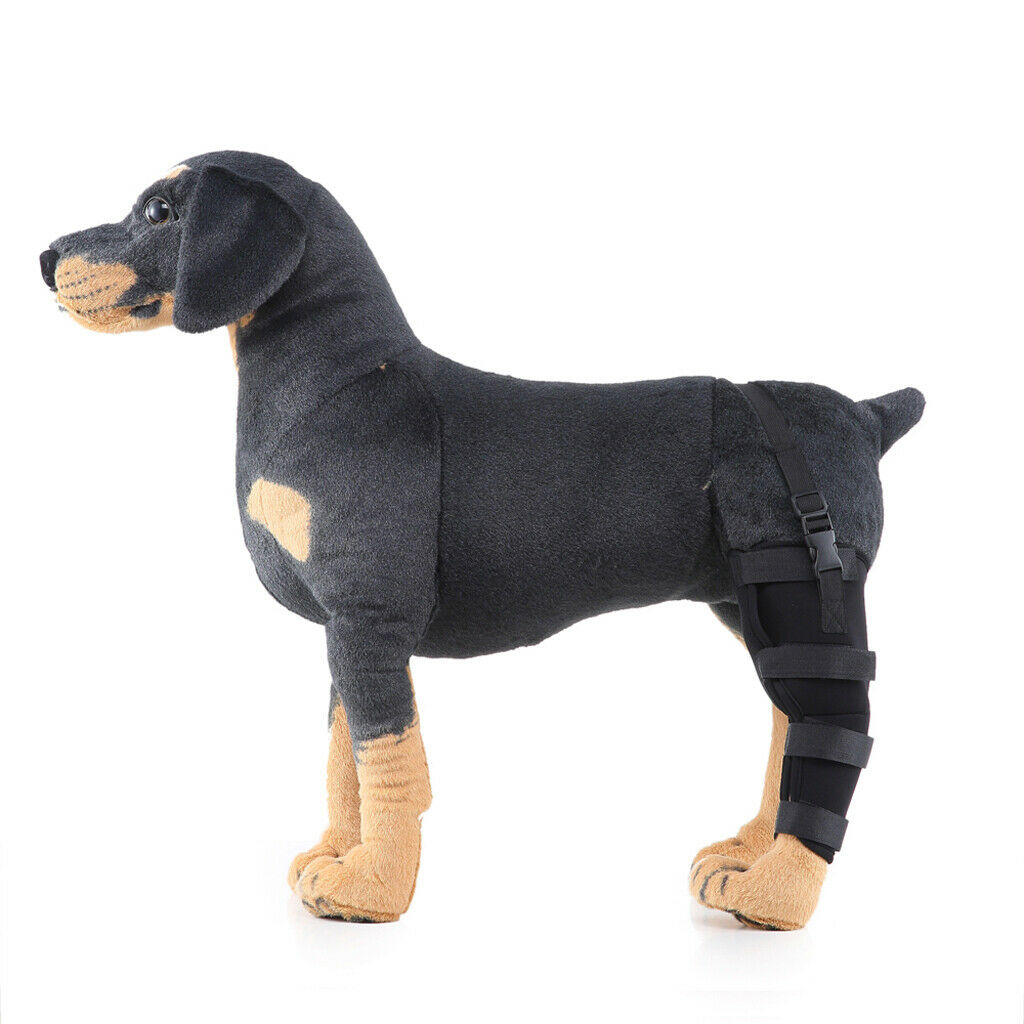 2 Pieces Pet Auxiliary Belt Dog Protective Joints Protector for Dog Puppy Dog -