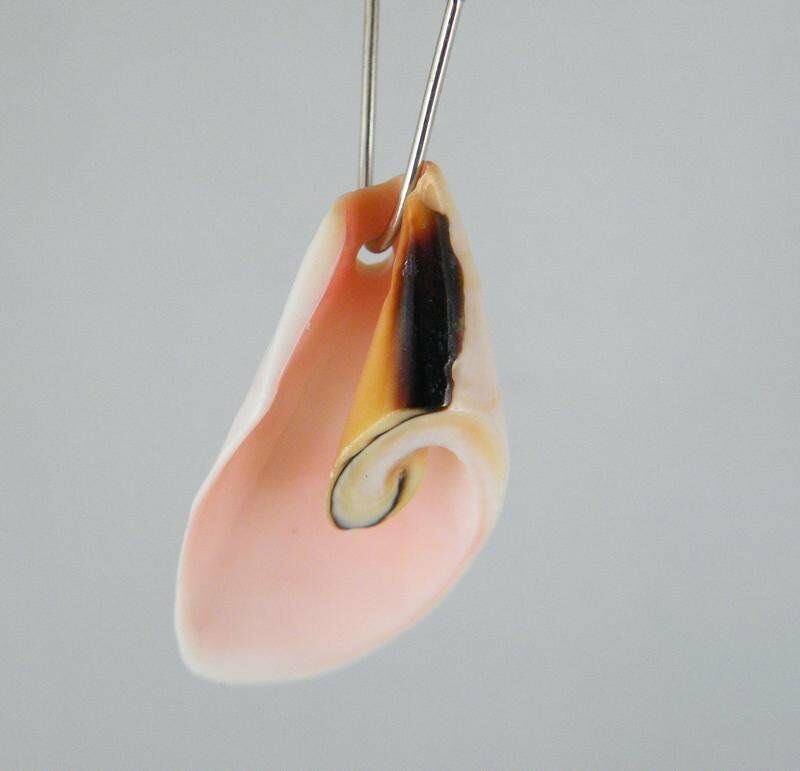 20pcs Shell Jewelry Charms / Pendants 34x16x9mm SH005