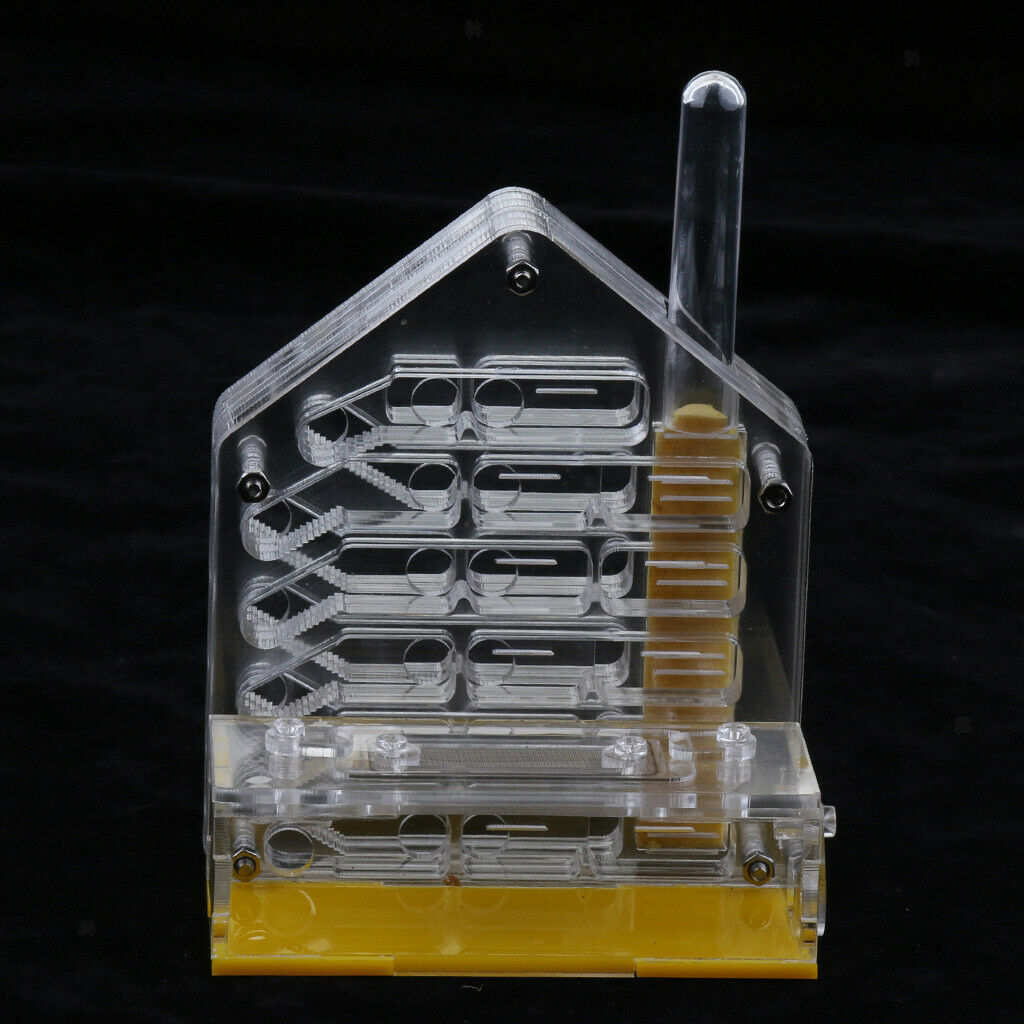 Safe & Reliable Ant Transparent 4x2x5 inch Feeding Box Formicarium