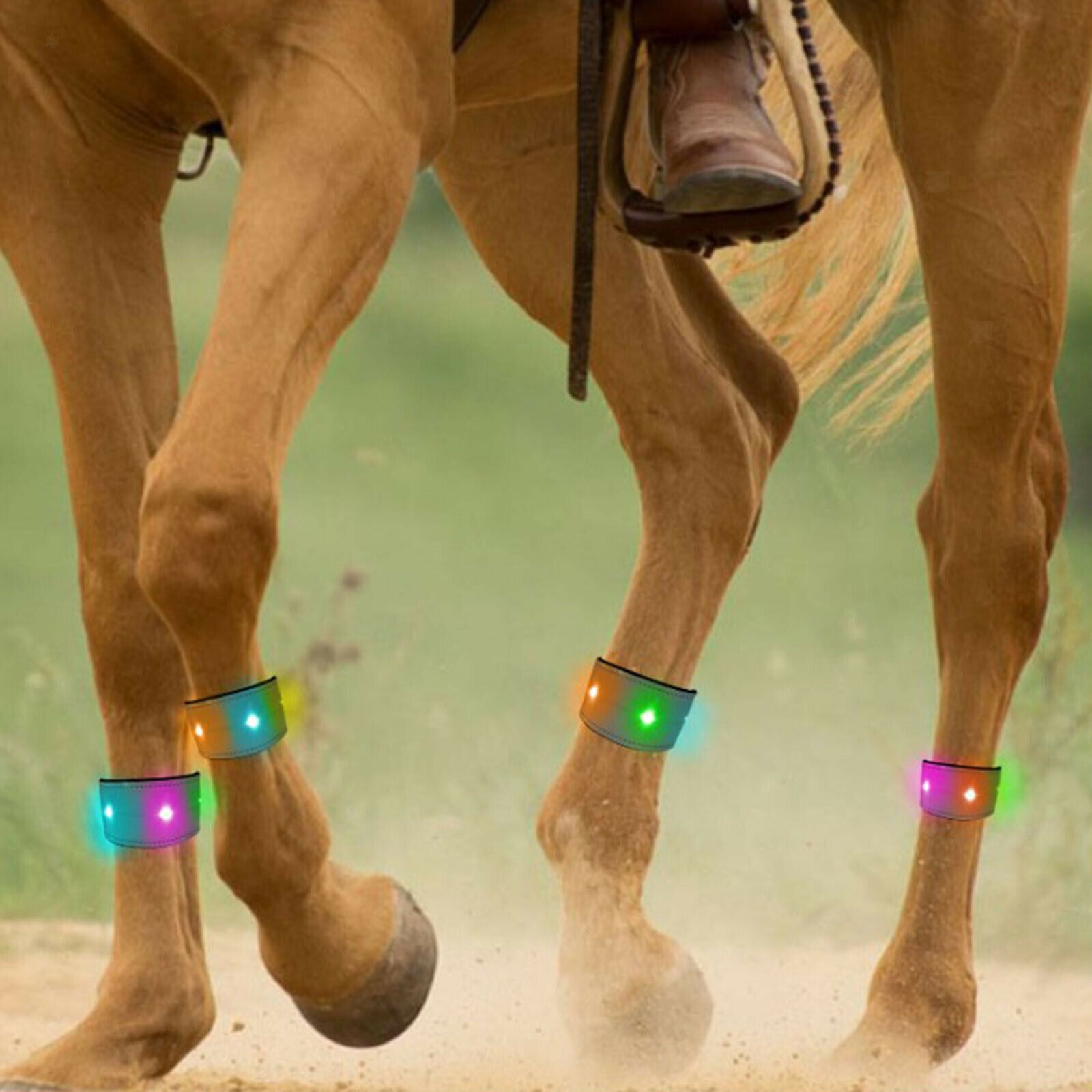 LED Horse Leg Strap Visibility Reflective Wristbands Legging Decor Any Dark