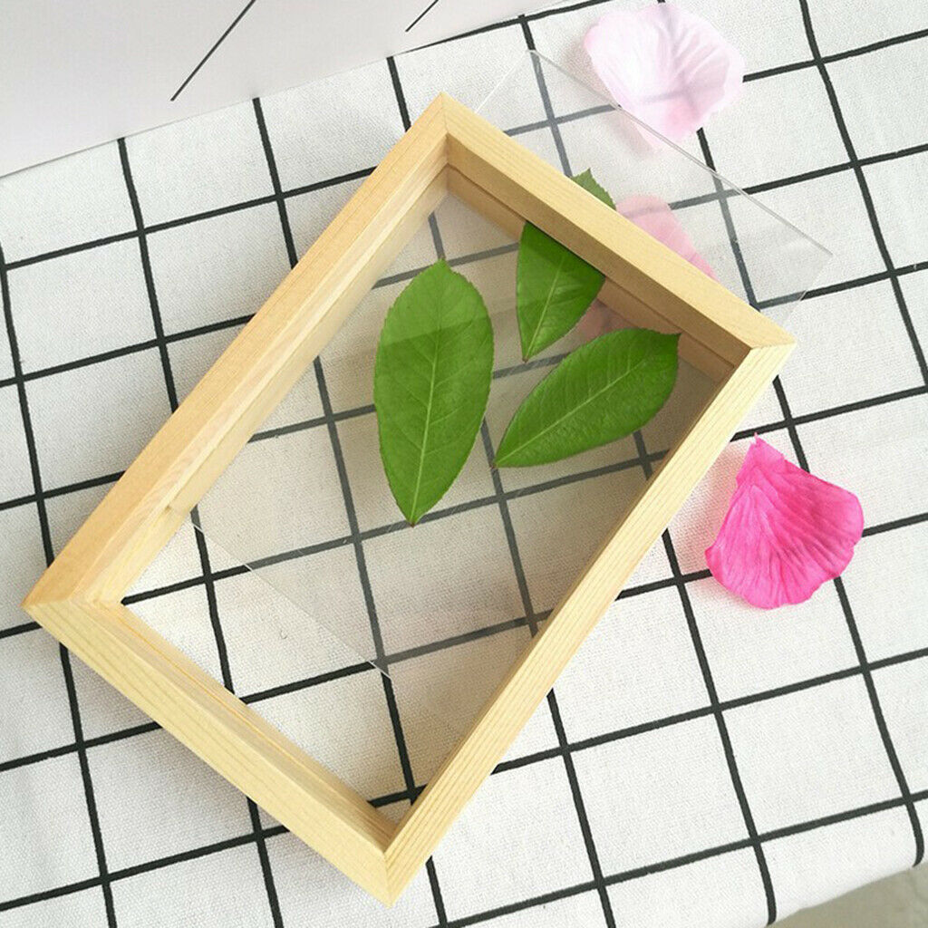 2pcs Double-sided Picture Frame Plant Specimen Frame Picture Display Holder