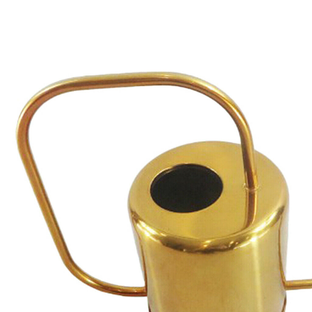 Rustproof Metal Can Sprayer Irrigation Tool Indoor Flowers Bonsai Herbs