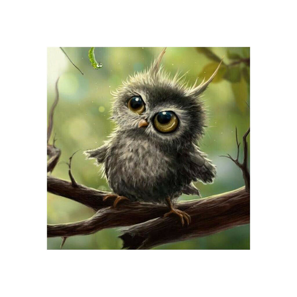 5D Diamond Painting Kits for Adults Cross Stitch Home Room Decor Owl