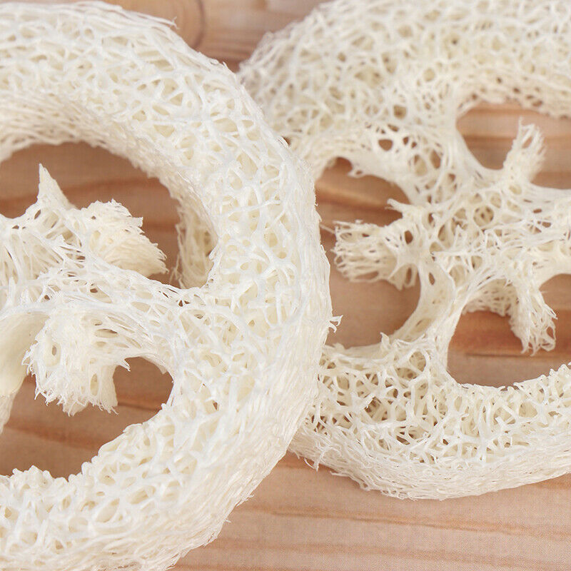 2Pcs Natural Loofah Soap Holder Dish Bathroom Storage Support Plate Stand HO.DD