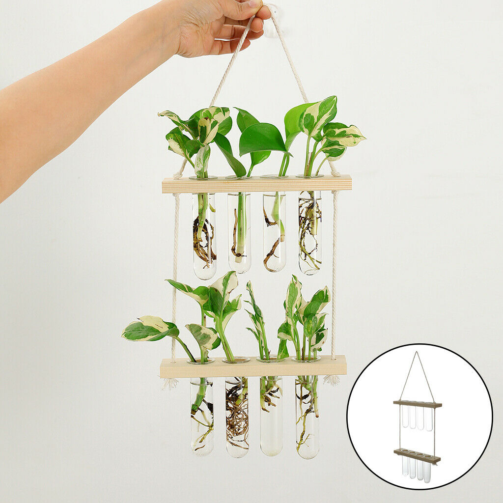 Hanging Hydroponic Terrarium Glass Planter Propagator Indoor Plant Bar Decor