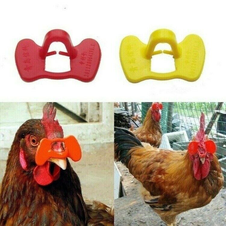 Pinless Chicken Peepers Pheasant Poultry Blinders Spectacles Eye No Fight 12pcs