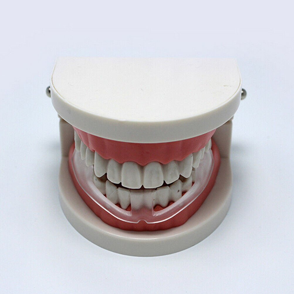 ToothGrinding+StorageCase Hot Dental Mouth Guard Bruxism Splint Night Sle.l8