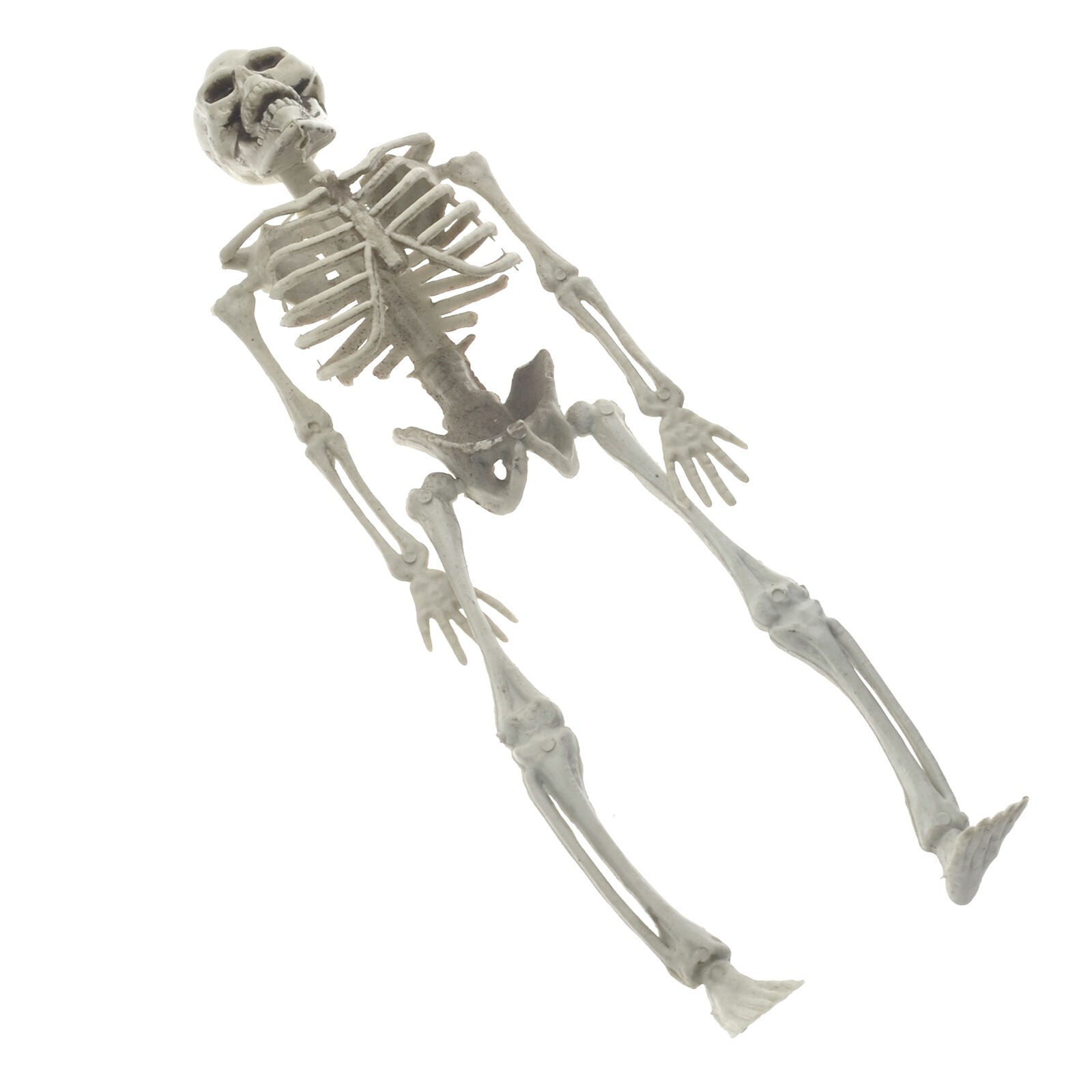 Halloween Poseable Full Life Size Human Animals Skeleton Party Prop Decoration