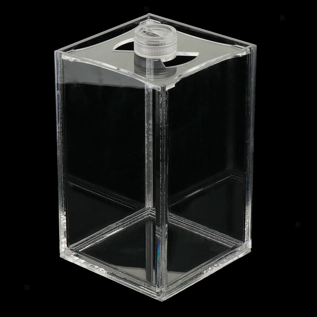 Acrylic Transparent Aquarium Tropical Sea Aquatic Rumble