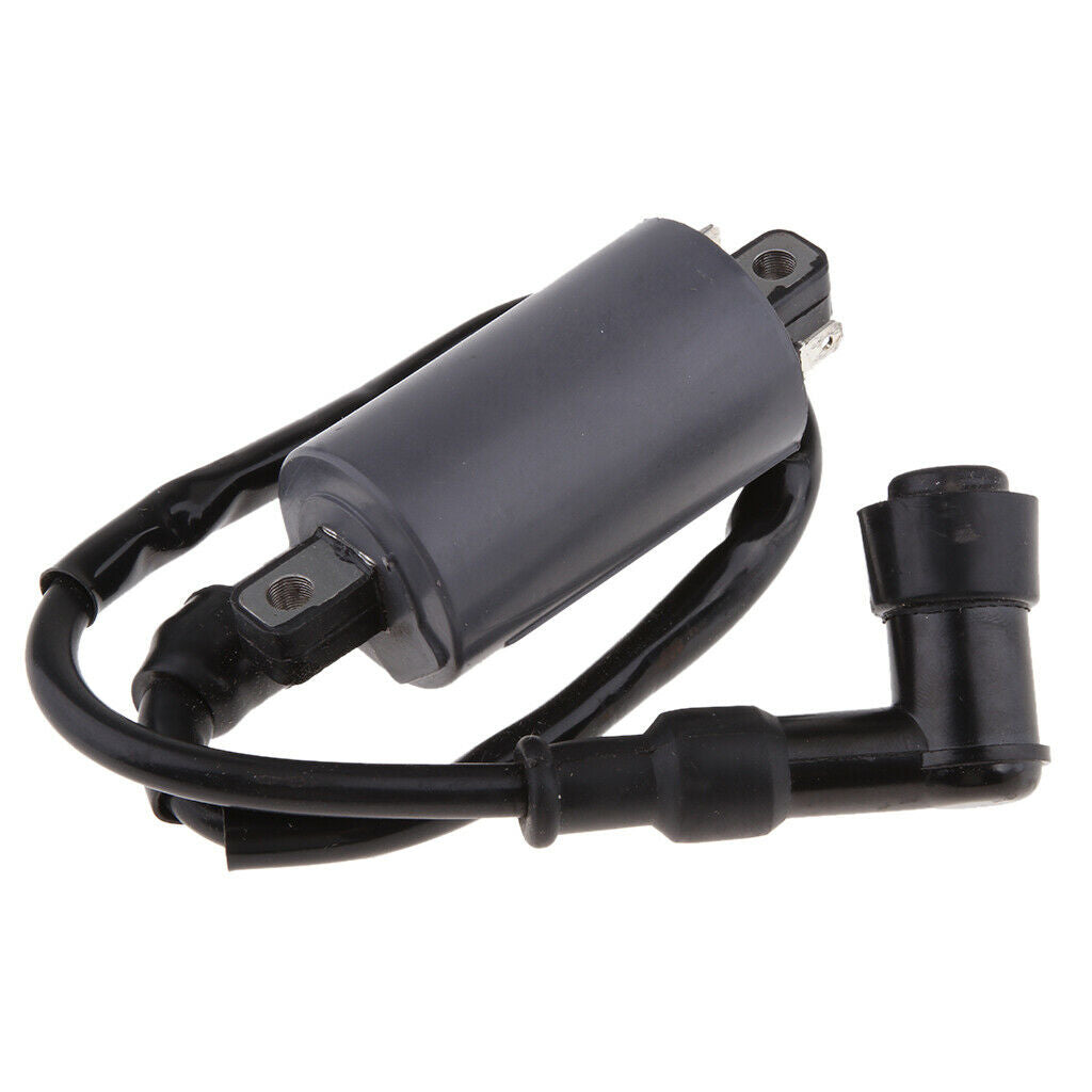 Performance Ignition Coil for Buyang 300CC D300 G300 H300 Dirt Bike BUGGY