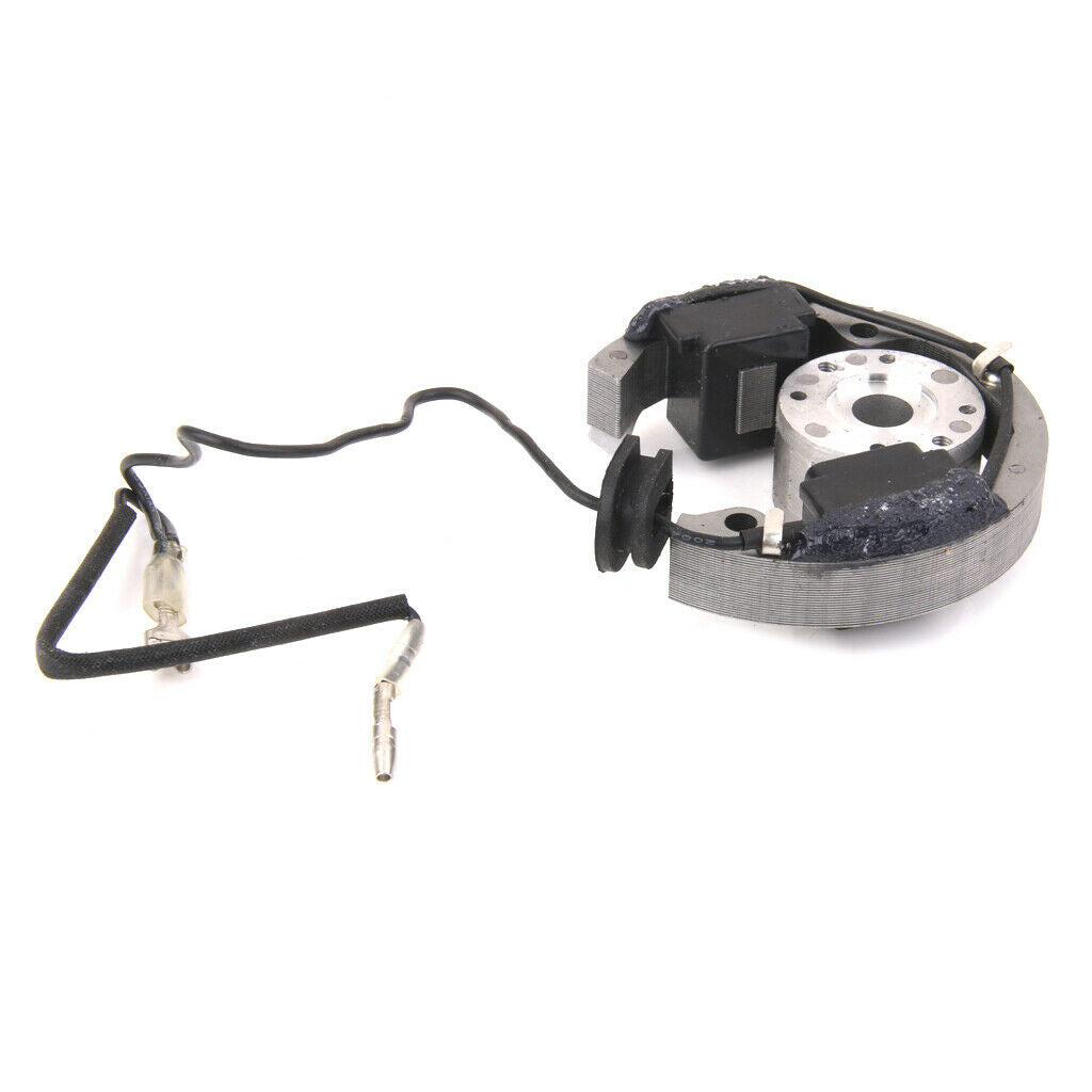 Motorcycle Stator Rotor Ignition Coil Fit for  50 SX Senior Adventure