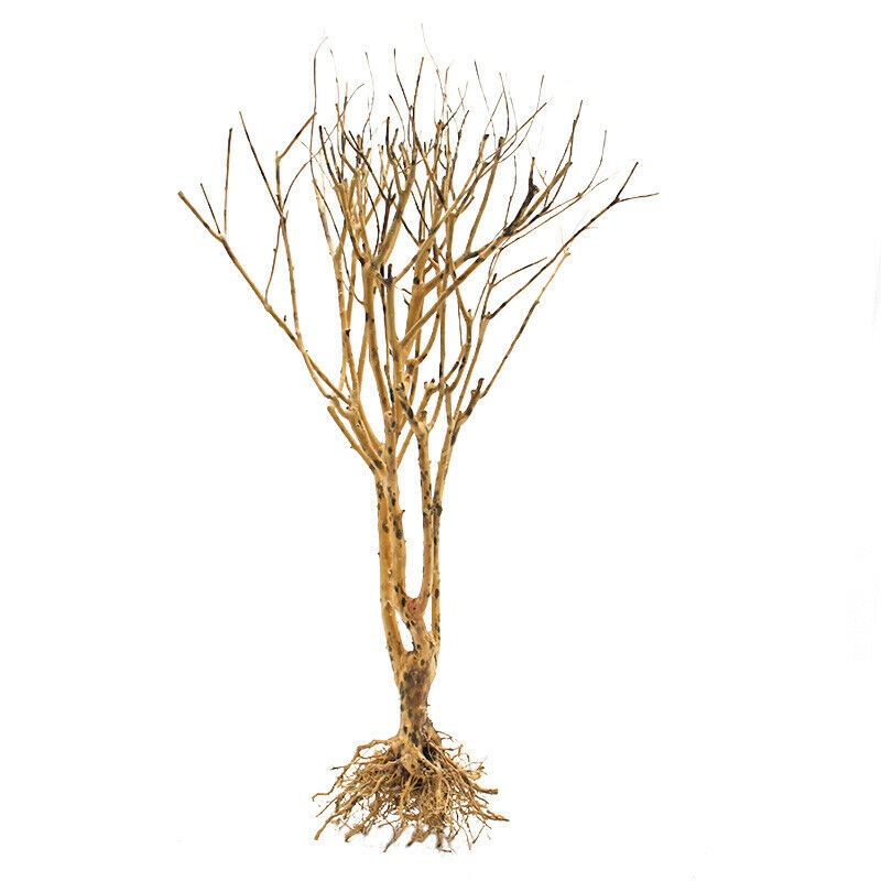 DIY Aquarium Wood Driftwood Tree Trunk Fish Tank Ornament Landscape Decoration