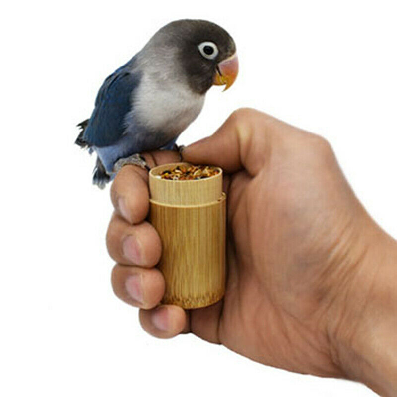 Bird Training Food Jar Parrot Hand-held Feeder IQ Growth Training To KX