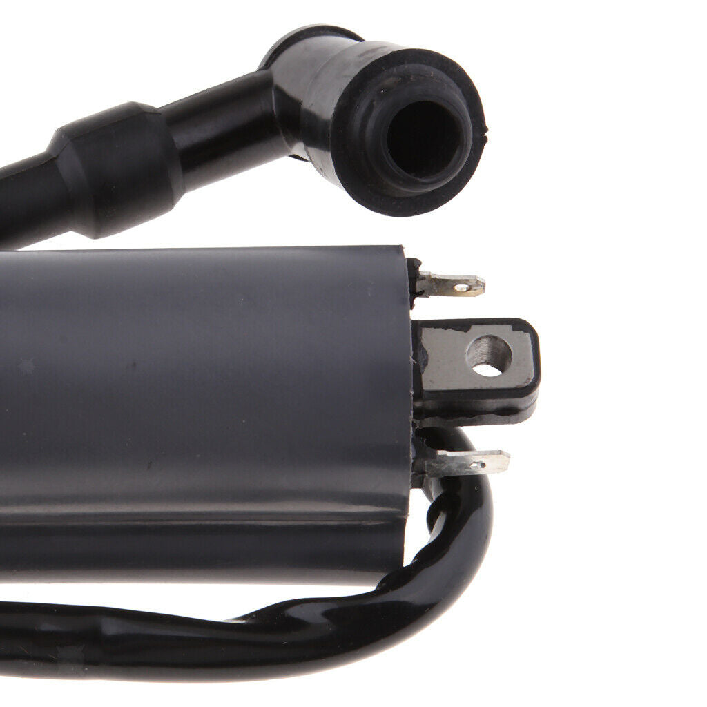 Motorcycle Ignition Coil For Buyang 300CC D300 G300 H300 Scooter Moped ATV,