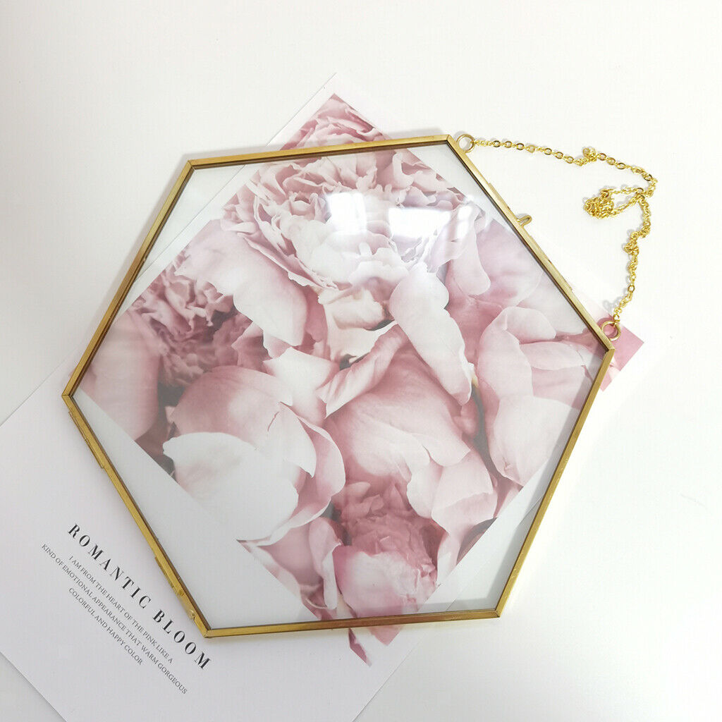 Double-sided hanging glass display frame for photo picture plant sample