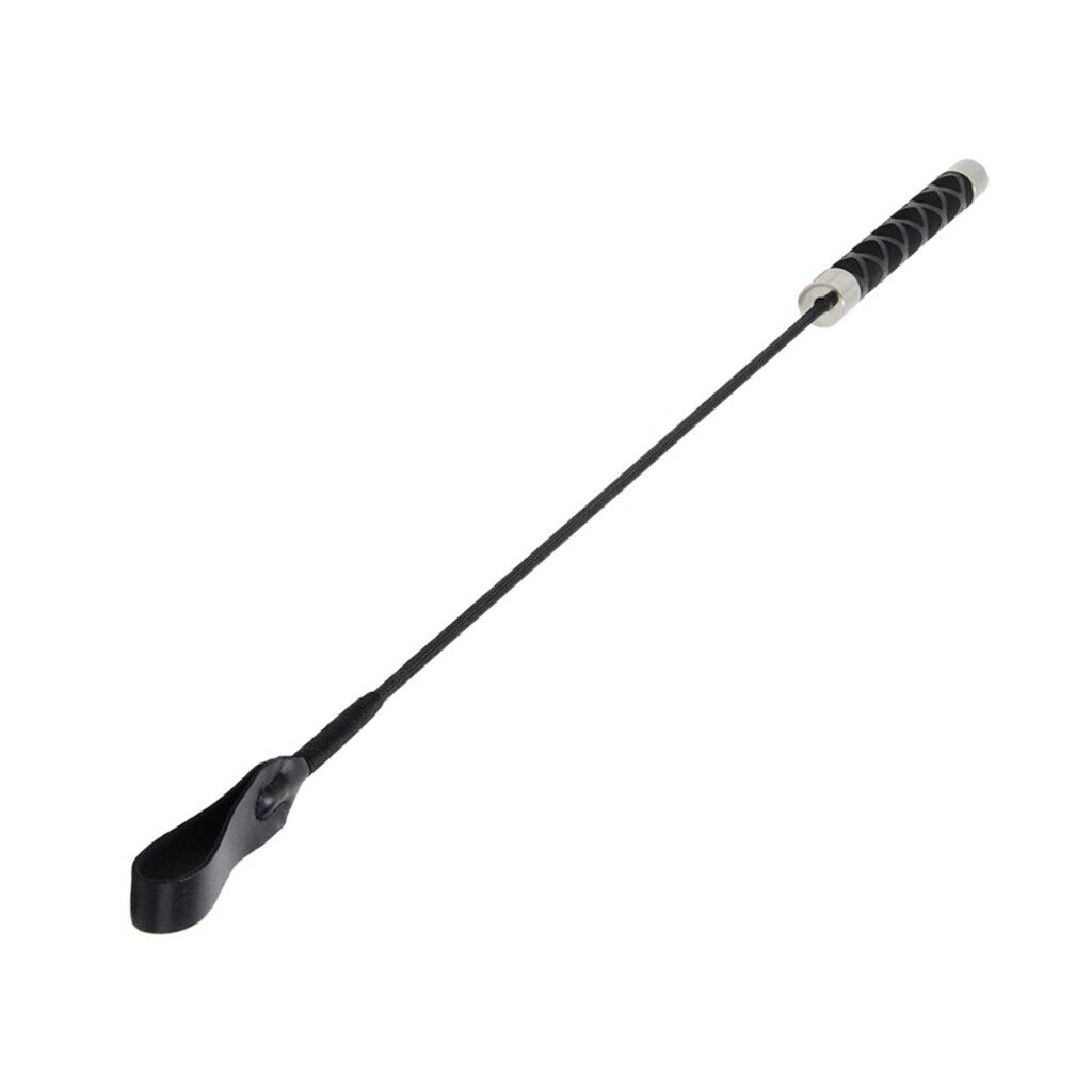 Pet Protective Equipment Training Stick